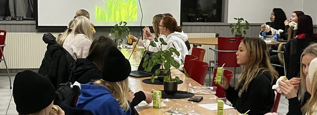 Designdrömmar Fika Falks