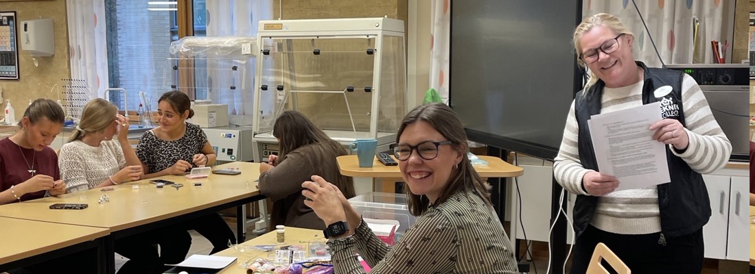 Designdrömmar Amanda Och Johanna 2