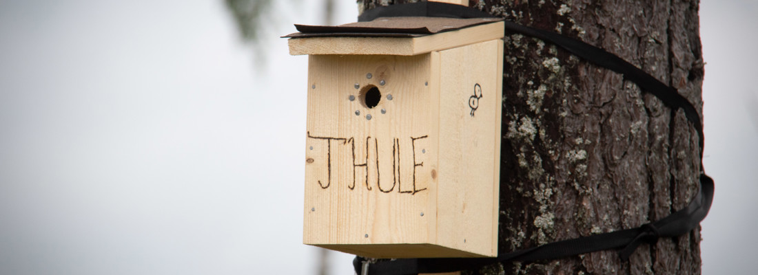 Thule4